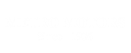 Metro Motors Group